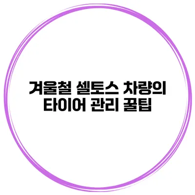 겨울철 셀토스 차량의 타이어 관리 꿀팁