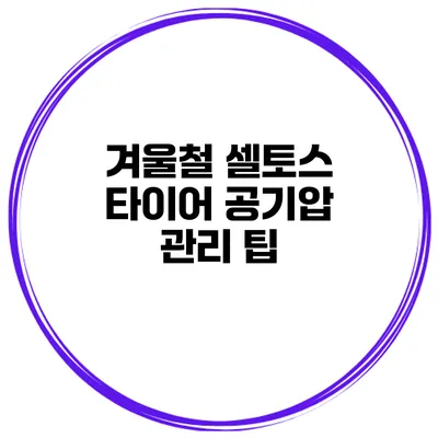 겨울철 셀토스 타이어 공기압 관리 팁