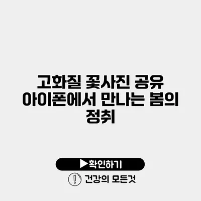 고화질 꽃사진 공유 아이폰에서 만나는 봄의 정취