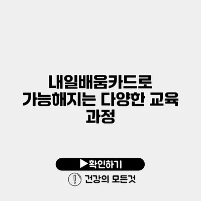 내일배움카드로 가능해지는 다양한 교육 과정
