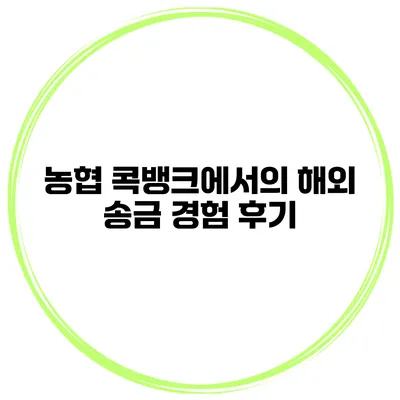 농협 콕뱅크에서의 해외 송금 경험 후기