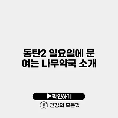 동탄2 일요일에 문 여는 나무약국 소개