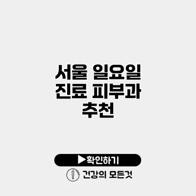 서울 일요일 진료 피부과 추천