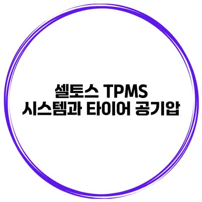 셀토스 TPMS 시스템과 타이어 공기압
