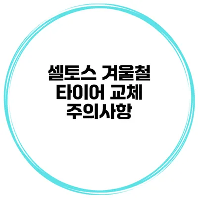 셀토스 겨울철 타이어 교체 주의사항