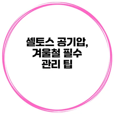 셀토스 공기압, 겨울철 필수 관리 팁