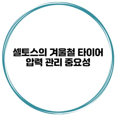 셀토스의 겨울철 타이어 압력 관리 중요성