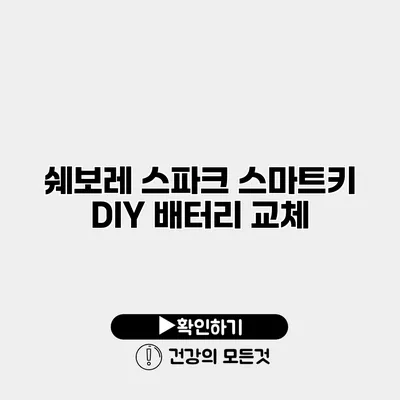 쉐보레 스파크 스마트키 DIY 배터리 교체
