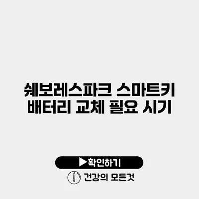 쉐보레스파크 스마트키 배터리 교체 필요 시기