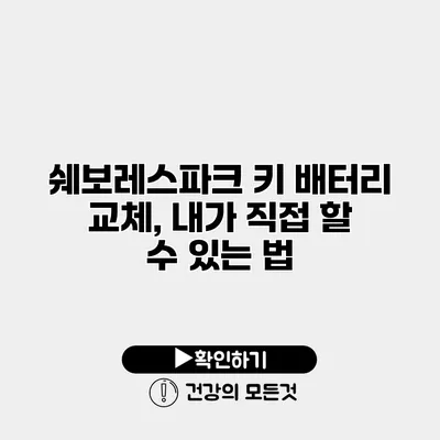 쉐보레스파크 키 배터리 교체, 내가 직접 할 수 있는 법