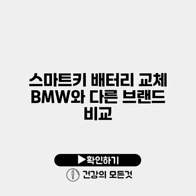 스마트키 배터리 교체 BMW와 다른 브랜드 비교