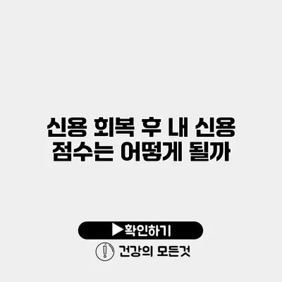 신용 회복 후 내 신용 점수는 어떻게 될까?