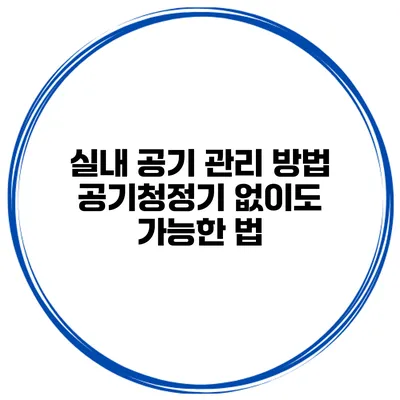 실내 공기 관리 방법 공기청정기 없이도 가능한 법