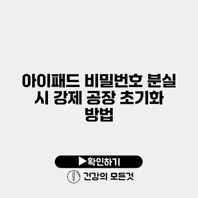 아이패드 비밀번호 분실 시 강제 공장 초기화 방법