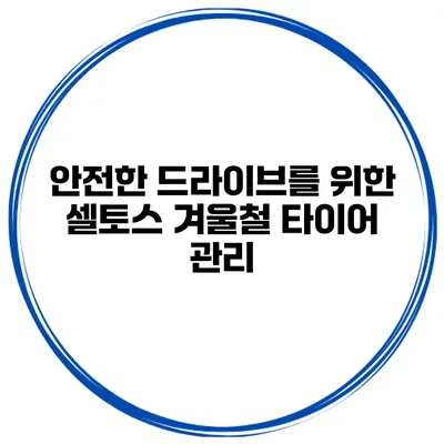 안전한 드라이브를 위한 셀토스 겨울철 타이어 관리