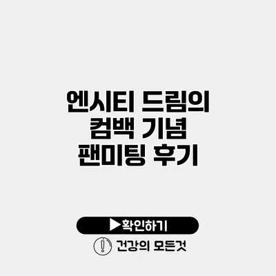 엔시티 드림의 컴백 기념 팬미팅 후기