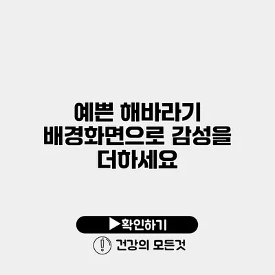 예쁜 해바라기 배경화면으로 감성을 더하세요