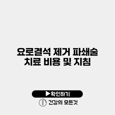 요로결석 제거 파쇄술 치료 비용 및 지침