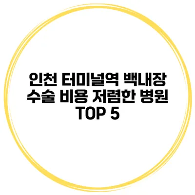 인천 터미널역 백내장 수술 비용 저렴한 병원 TOP 5