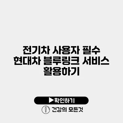 전기차 사용자 필수 현대차 블루링크 서비스 활용하기