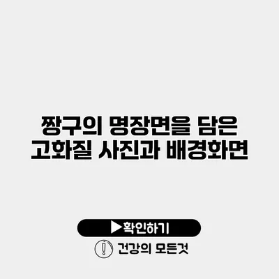 짱구의 명장면을 담은 고화질 사진과 배경화면