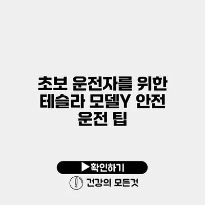 초보 운전자를 위한 테슬라 모델Y 안전 운전 팁