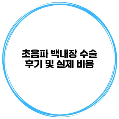 초음파 백내장 수술 후기 및 실제 비용