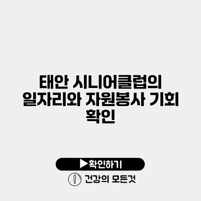 태안 시니어클럽의 일자리와 자원봉사 기회 확인