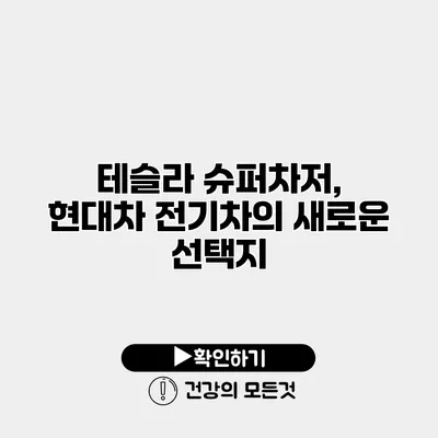테슬라 슈퍼차저, 현대차 전기차의 새로운 선택지