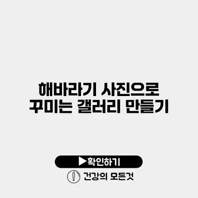 해바라기 사진으로 꾸미는 갤러리 만들기